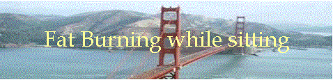 Fat Burning while sitting
